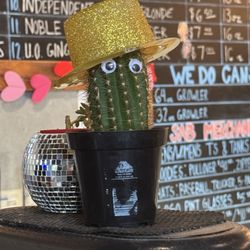 Southern Appalachian Brewery - Say hello!