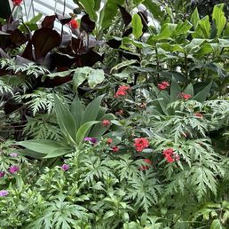 Garden Garden