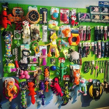 Pets On Brady - Pet Stores Near Me - Milwaukee, Wisconsin Pets On Brady - Pet Stores Near Me - Milwaukee, Wisconsin