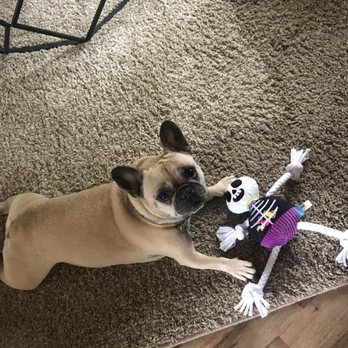 Crozier Conceptions Pet Services - Pet Sitting Near Me