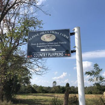 Country Pumpkins - The entrance - Pumpkin Patches Near Me - Dry Ridge, Kentucky