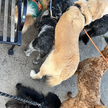 Pier 26 Dog Run - January 13, 2026 - Dog Parks Near Me - New York, New York Pier 26 Dog Run - January 13, 2026 - Dog Parks Near Me - New York, New York