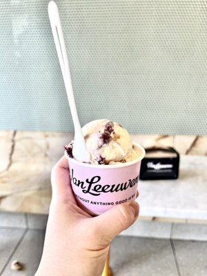 Van Leeuwen Ice Cream by null