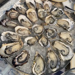 Raw Oysters