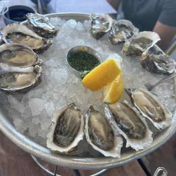 Hog Island Oyster Co - Seafood Near Me - Napa, California Hog Island Oyster Co - Seafood Near Me - Napa, California