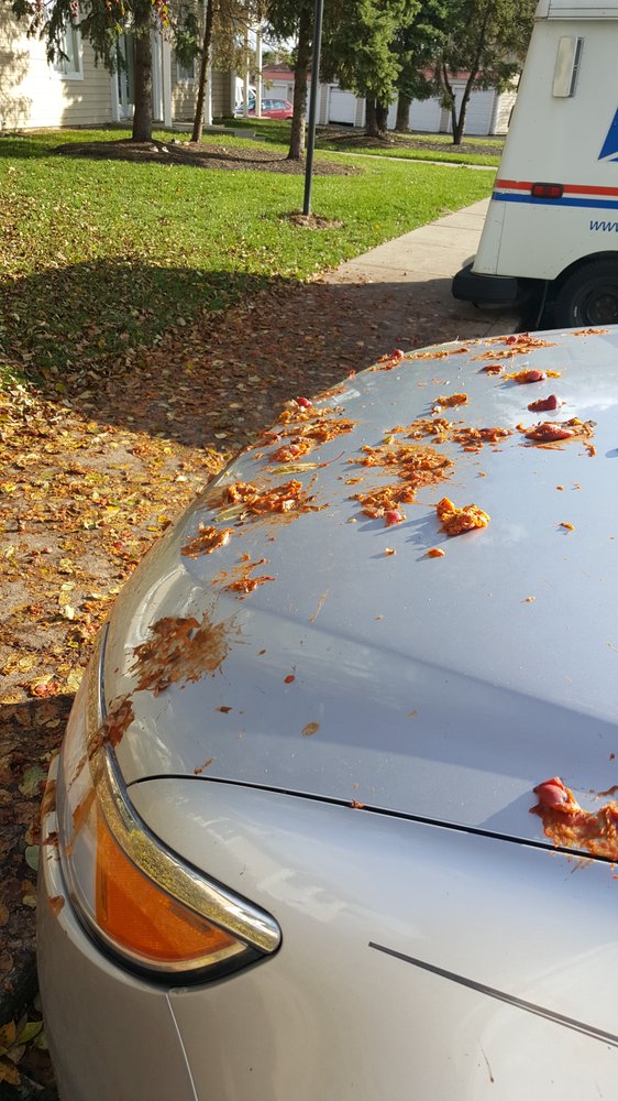 MOO MOO EXPRESS CAR WASH HILLIARD 12 Photos & 28 Reviews 1944