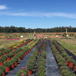 Family Affair Farm - Mums!