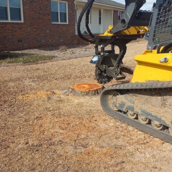 Quality Land Services - Tree Services Near Me - Valdosta, Georgia Quality Land Services - Tree Services Near Me - Valdosta, Georgia