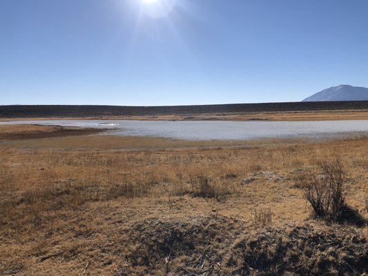 Wild Willy's Hot Spring by null