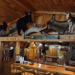Track Down Kennels & Lodge - Lodge