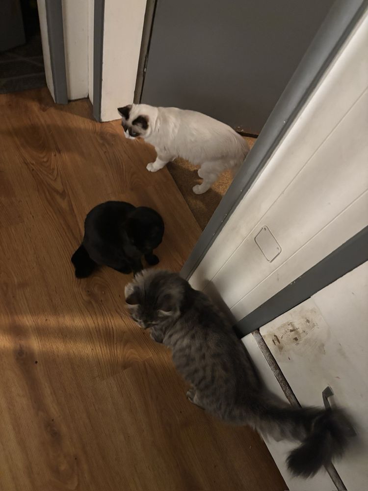 Imagination Station - childcare center in Shoreline, WA