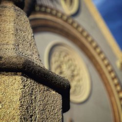 Using selective focus creates a change in the impact an image makes.