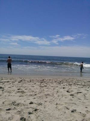 Low Tide Bar by null