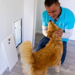 Apollo Pet Doors