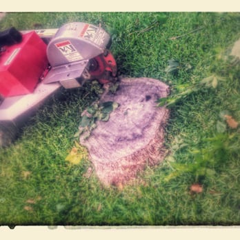 Cowtown Tree & Land - a lawn mower and a rock - Tree Services Near Me - Fort Worth, Texas Cowtown Tree & Land - a lawn mower and a rock - Tree Services Near Me - Fort Worth, Texas