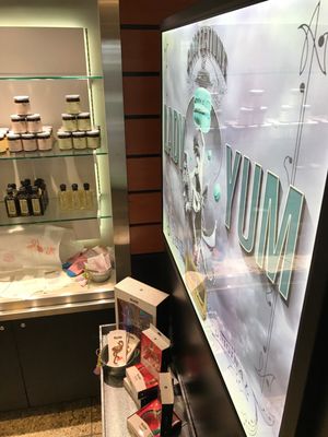 Lady Yum Seatac Airport Concourse A by null