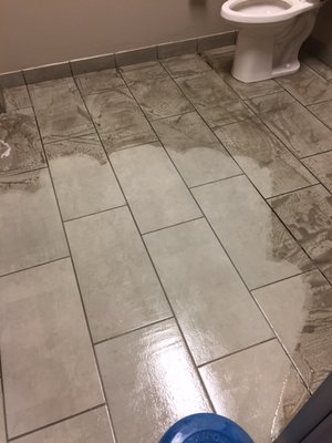 Tile and Grout Floor Cleaning - Give us a BUZZ today and set up your Tile & Grout floor cleaning service!