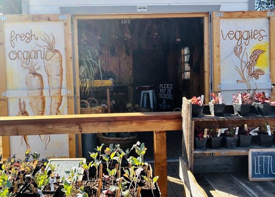 Tenfold Farmstand by null