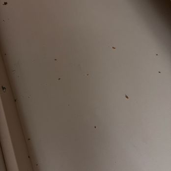 Quality Inn & Suites Downtown Walla Walla - bugs :( - Hotels Near Me - Walla Walla, Washington