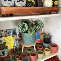Wild Gold Gift Shop