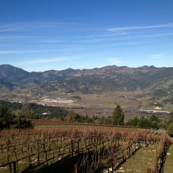 Andrew Geoffrey Vineyards - a vineyard in the foreground with mountains in the background - Wineries Near Me - Saint Helena, California Andrew Geoffrey Vineyards - a vineyard in the foreground with mountains in the background - Wineries Near Me - Saint Helena, California