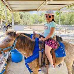 Irvine Regional Park Pony Ride