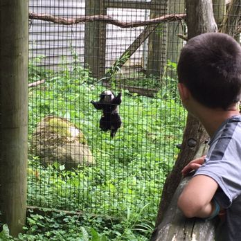 Trevor Lovejoy Zoo - Marmoset - Zoos Near Me - Millbrook, New York