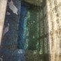 Photo of Aqua Guard