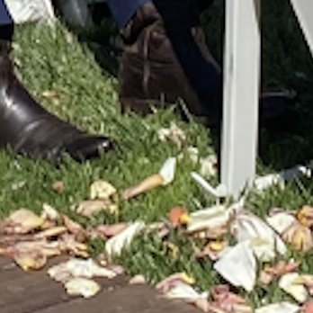 Flowers By Mae Mae - Are these white gutter petals or just dead petals? Is this worth $185? - Florists Near Me
