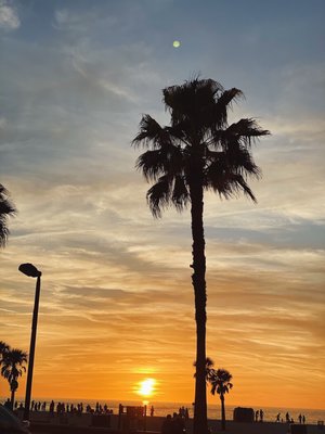 "We the Pizza" Clearwater beach by null
