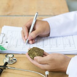 DoctorsRx - Marijuana Doctors