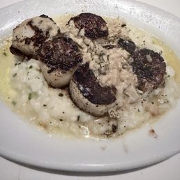 Seared Scallop Special Seared Scallop Special