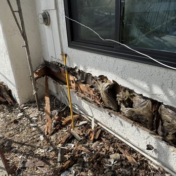 McKernan Inspections, Inc - More examples of damage by the termites - Home Inspectors Near Me - Van Nuys, California McKernan Inspections, Inc - More examples of damage by the termites - Home Inspectors Near Me - Van Nuys, California
