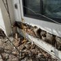 Photo of McKernan Inspections, Inc
