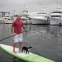 Photo of Another Board Company