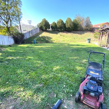 Discount Tree Care - Before - Tree Services Near Me - 92427, California