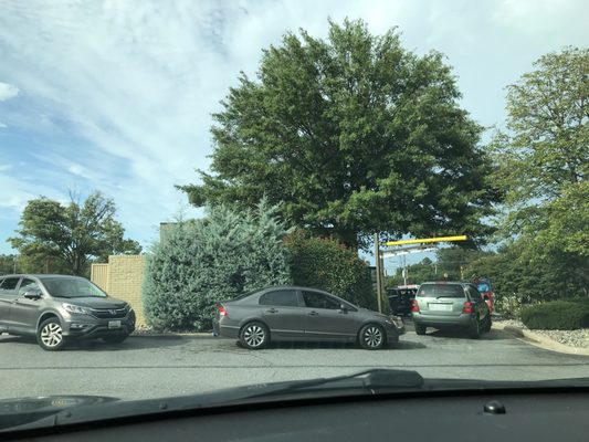 Taco Bell by null