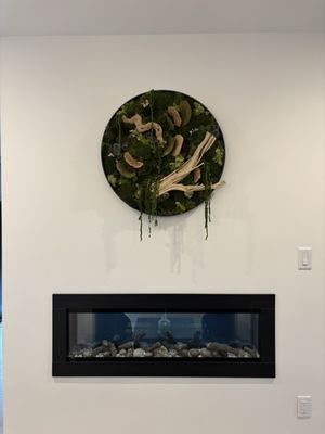 Anthropologie by null