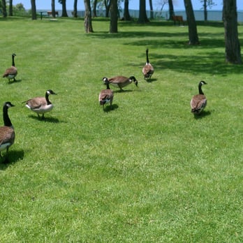 Avon Lake Boat Launch - Boating Near Me - Avon Lake, Ohio Avon Lake Boat Launch - Boating Near Me - Avon Lake, Ohio