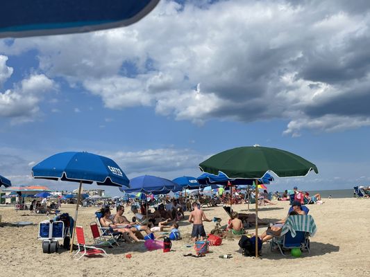 Rehoboth Beach by null