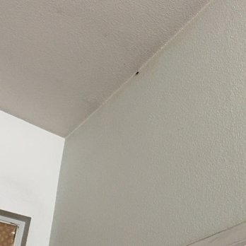 Four Points Pest Management - Pest Control Near Me Four Points Pest Management - Pest Control Near Me