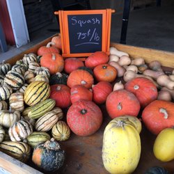 Morgan Farms - Squash and pumpkin for sale