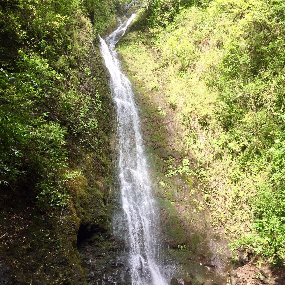 Lulumahu Falls - End result, definitely worth the muddy tread - Hiking Near Me - Honolulu, Hawaii Lulumahu Falls - End result, definitely worth the muddy tread - Hiking Near Me - Honolulu, Hawaii
