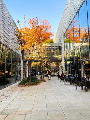 Daikan-yama Tsutaya Books - Building 2 by null