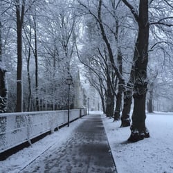 Bayernpark