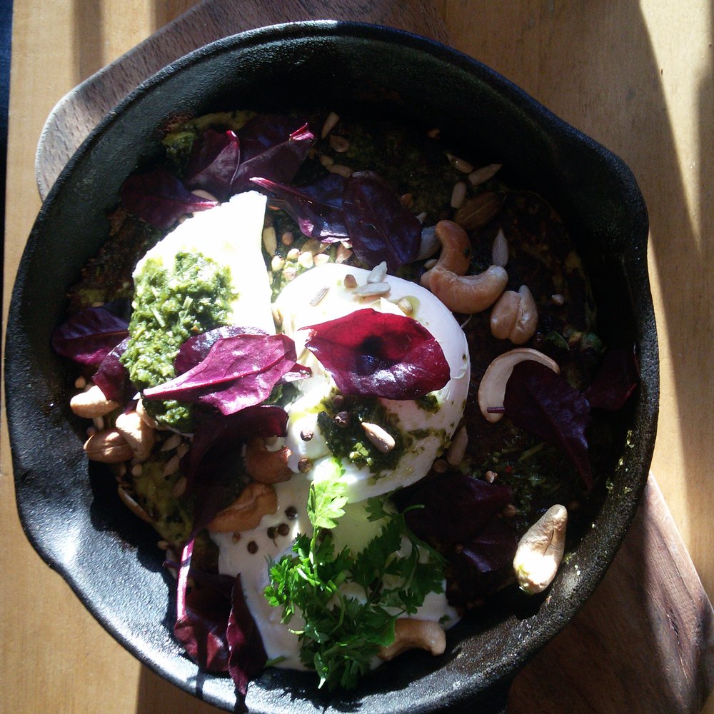 Dignita - Sun splashed Zucchini Fritter - Breakfast & Brunch Near Me - Amsterdam, New Hampshire Dignita - Sun splashed Zucchini Fritter - Breakfast & Brunch Near Me - Amsterdam, New Hampshire