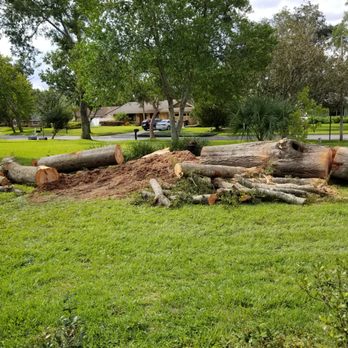 Sunshine State Tree Service - Tree Services Near Me - Tamarac, Florida