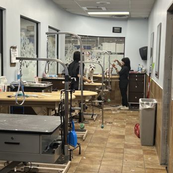 PetSmart - I would like to respectfully share my experience with your grooming salon because I believe there was a significant misunderstanding in the - Pet Stores Near Me - Chino, California