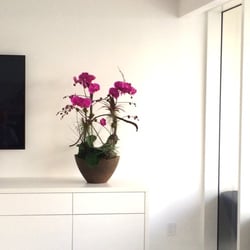 Elegant Orchids - Our arrangement in its home environment