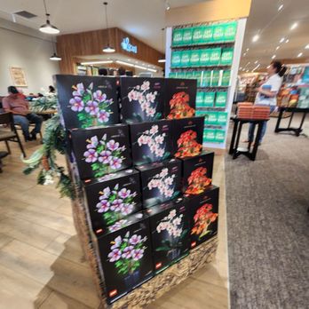 Barnes & Noble - Bookstores Near Me - Kendall, Florida Barnes & Noble - Bookstores Near Me - Kendall, Florida
